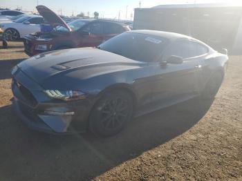  Salvage Ford Mustang