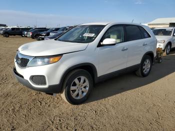  Salvage Kia Sorento