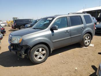  Salvage Honda Pilot