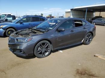  Salvage Acura TLX