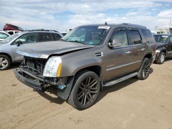  Salvage Cadillac Escalade