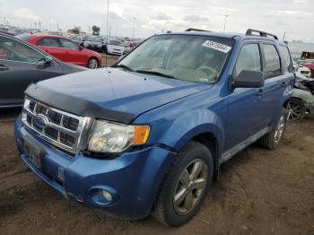  Salvage Ford Escape