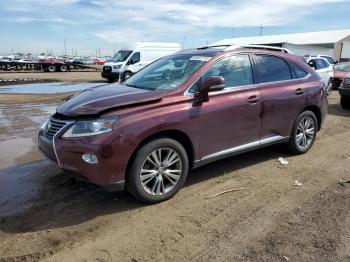  Salvage Lexus RX