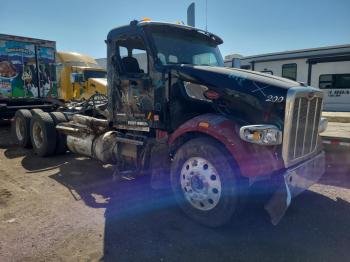  Salvage Peterbilt 567