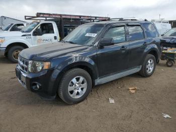  Salvage Ford Escape