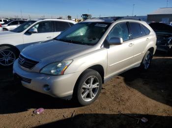  Salvage Lexus RX