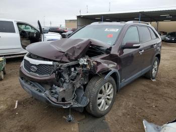  Salvage Kia Sorento