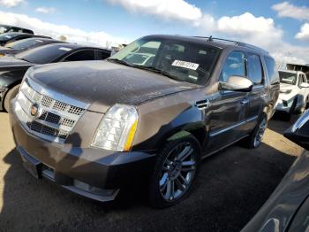  Salvage Cadillac Escalade