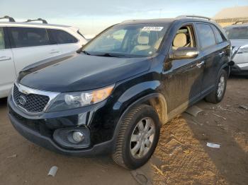  Salvage Kia Sorento