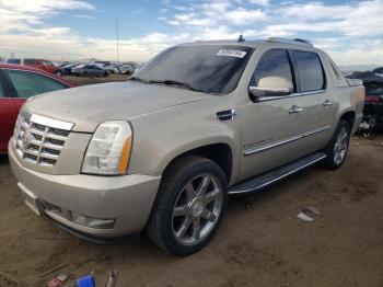  Salvage Cadillac Escalade