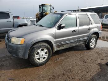  Salvage Ford Escape