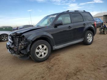  Salvage Ford Escape