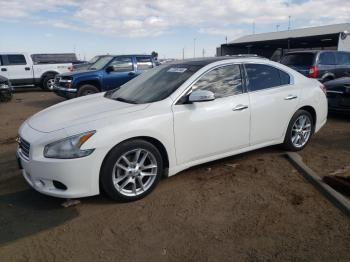  Salvage Nissan Maxima