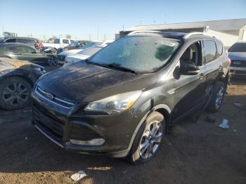  Salvage Ford Escape