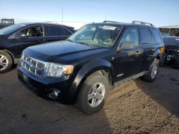  Salvage Ford Escape