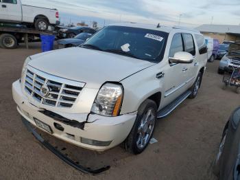  Salvage Cadillac Escalade