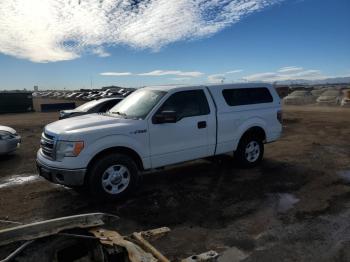  Salvage Ford F-150