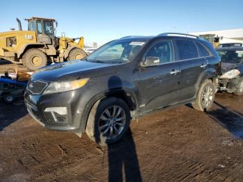  Salvage Kia Sorento