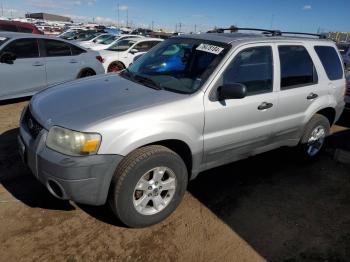  Salvage Ford Escape