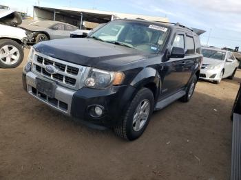  Salvage Ford Escape