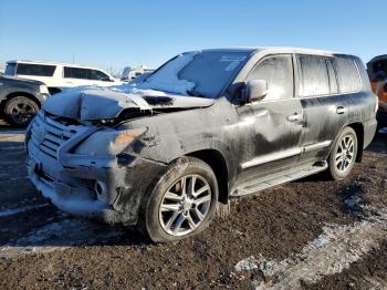  Salvage Lexus Lx570