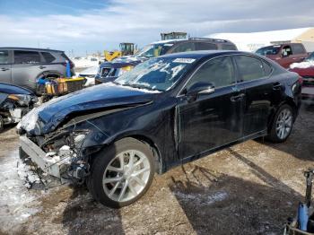  Salvage Lexus Is