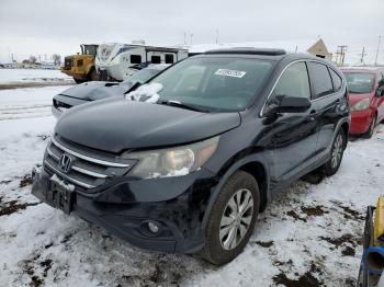  Salvage Honda Crv