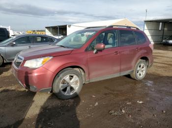  Salvage Subaru Forester