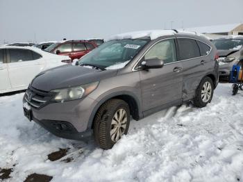  Salvage Honda Crv