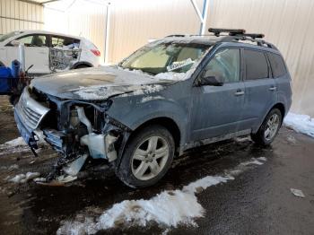  Salvage Subaru Forester