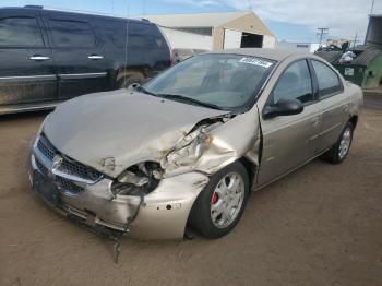  Salvage Dodge Neon