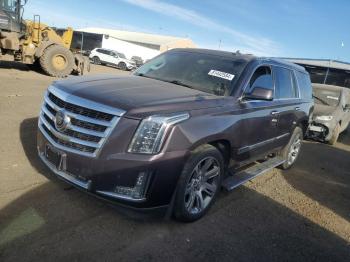  Salvage Cadillac Escalade