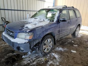  Salvage Subaru Forester