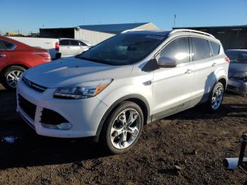  Salvage Ford Escape