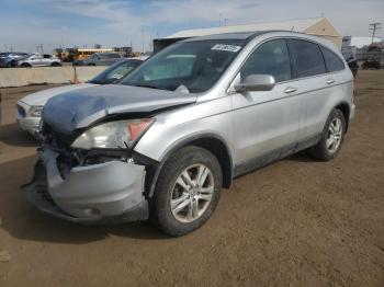  Salvage Honda Crv