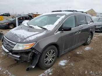  Salvage Honda Odyssey