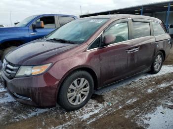  Salvage Honda Odyssey