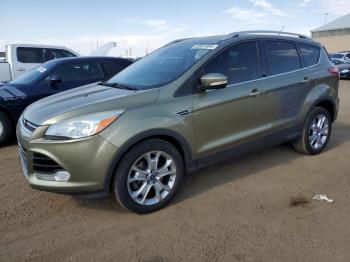  Salvage Ford Escape