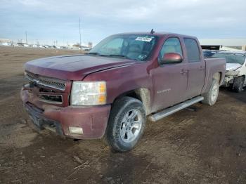  Salvage Chevrolet Silverado