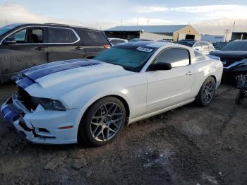  Salvage Ford Mustang