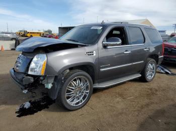  Salvage Cadillac Escalade