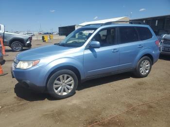  Salvage Subaru Forester