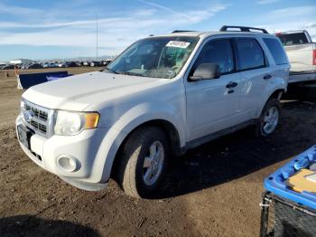 Salvage Ford Escape