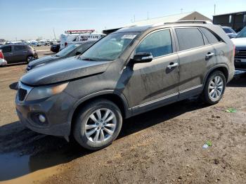  Salvage Kia Sorento
