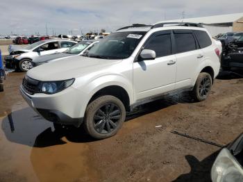  Salvage Subaru Forester
