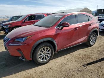  Salvage Lexus NX