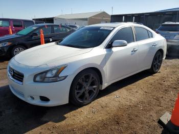  Salvage Nissan Maxima
