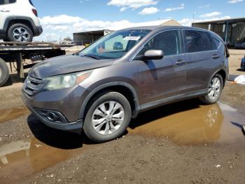  Salvage Honda Crv