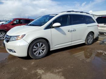  Salvage Honda Odyssey