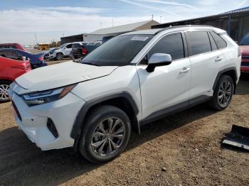  Salvage Toyota RAV4